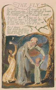 Liederen van Onschuld en Ervaring, Plaat 48, De Vlieg (Bentley 40) door William Blake